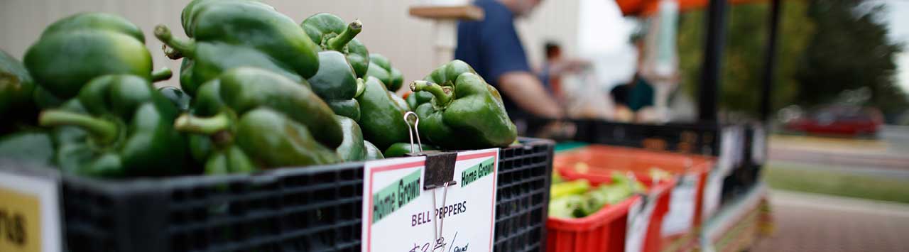 farmers market
