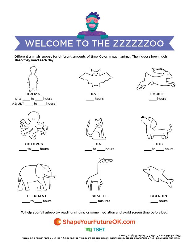 Welcome to the zoo worksheet download