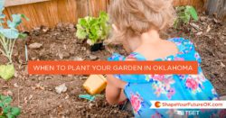 When to plant your garden in Oklahoma