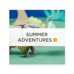 Summer adventures button