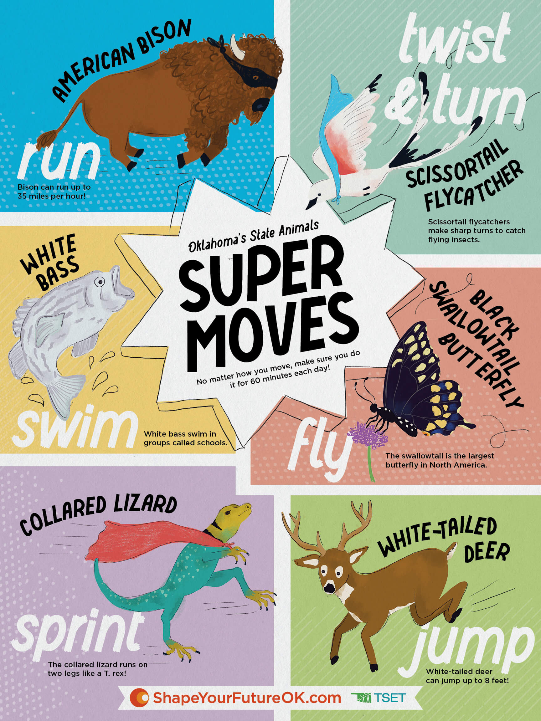 Oklahoma’s State Animals Super Moves Flyer Download