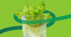 Regrow Lettuce from scraps